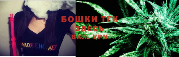 ГАЛЛЮЦИНОГЕННЫЕ ГРИБЫ Алзамай