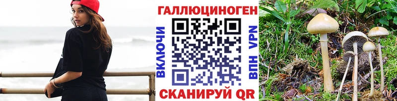 Псилоцибиновые грибы Magic Shrooms  Топки 